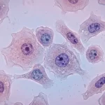 Cellulogia Explained: How Cells Function and Grow
